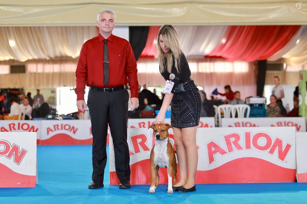 Burning Staff Very pretty little liar