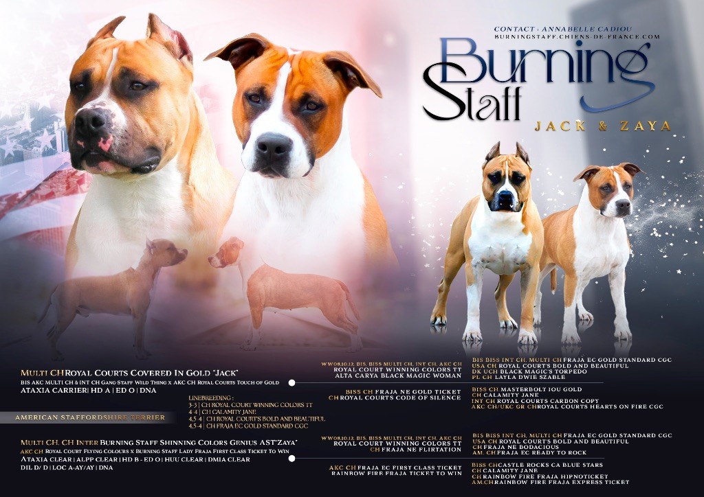 Breeding Zaya & Jack 2025